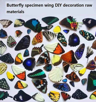 Настоящие крылья образца бабочки случайная доставка DIY ювелирные изделия материалы для украшения дома подвески из смолы